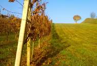 "Neuer Preis!" 2 ERSCHLOSSSENE BAUGRÜNDE MIT OBSTBAUMBESTAND UND WEINREBEN IN DER SÜDOSTSTEIERMARK