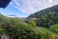 RARITÄT: SANIERUNGSBEDÜRFTIGE LIEGENSCHAFT IN EINZIGARTIGER LAGE MIT FERNBLICK INS KREMSTAL