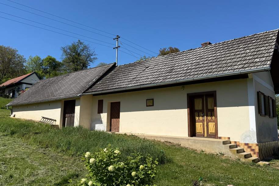 Das Herz des Weins – Ihr Weinkeller in der Pinkataler Idylle, Haus-kauf, 84.000,€, 7540 Güssing