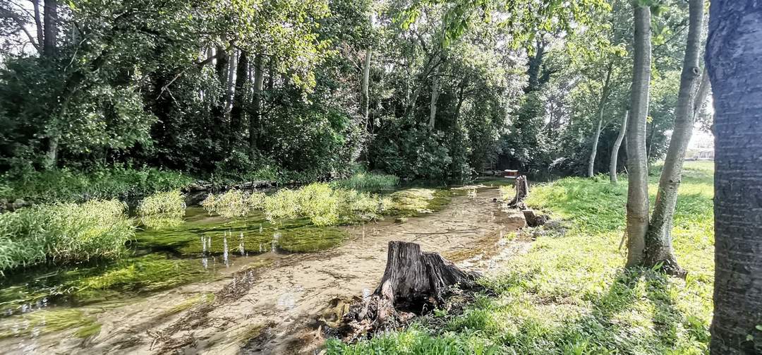 EXKLUSIVE RUHELAGE DIREKT AM WASSER