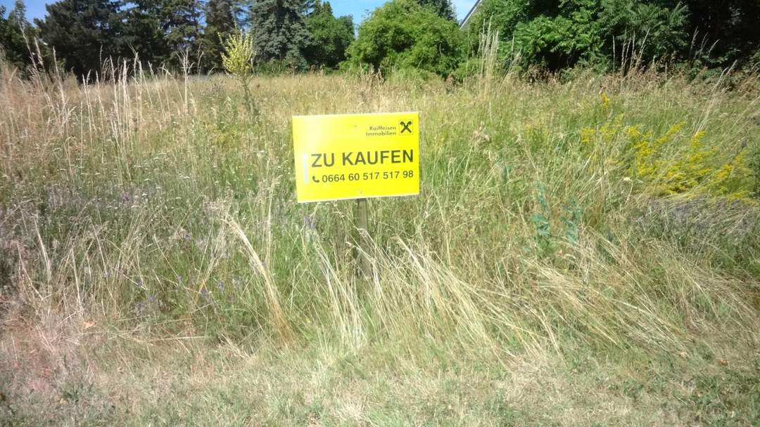 Baugrund in absoluter Ruhelage! ohne Bauzwang