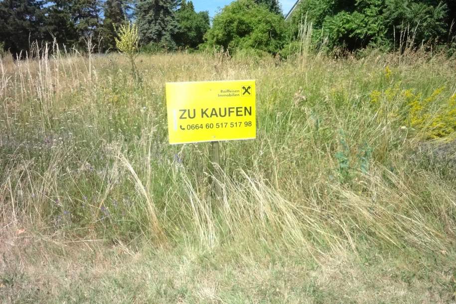 Baugrund in absoluter Ruhelage! ohne Bauzwang, Grund und Boden-kauf, 295.000,€, 7083 Eisenstadt-Umgebung