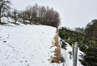 Bauernhof & landwirtschaftliche Flächen Teil 5