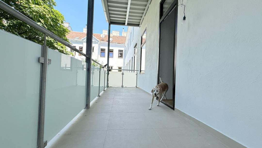 Elegante Altbauwohnung mit Balkon – Wohnen nahe dem Augarten