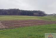 ALLEINLAGE - Kellerstöckl in der Südoststmk.