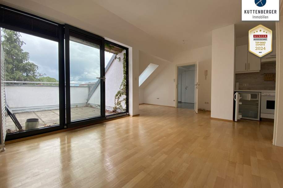 Dachgeschosswohnung am Stadtpark!, Wohnung-miete, 838,60,€, 3500 Krems an der Donau(Stadt)