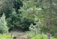FERIENWOHNUNGEN in PERFEKTER RUHELAGE - WALDNESS PUR ! TOURISTISCHE Vermietung möglich ! DIREKTER BACHZUGANG ! BEZUGSFERTIG!