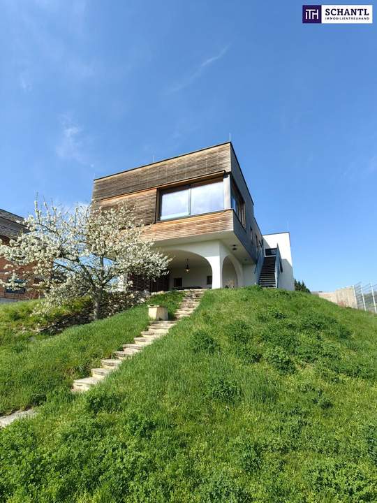 ++ TRAUMBLICK über den gesamten Neusiedler See ++ Architektenvilla mit weitläufigem Garten und traumhaftem Seeblick in idyllischer Lage! + Teilung und weitere Bebauung des Grundstückes möglich