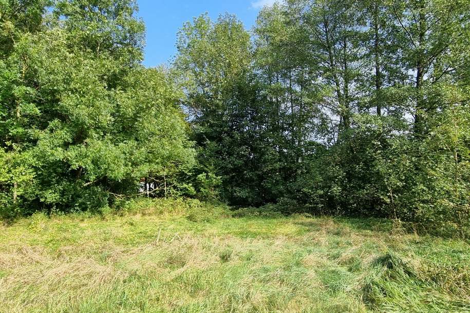 "In Kaufabwicklung"! BAUGRUND IN SONNIGER, RUHIGER LAGE, Grund und Boden-kauf, 198.000,€, 3021 Sankt Pölten(Land)