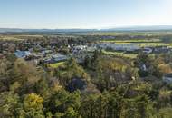Rarität! Histroische Jahrhundertwende-Villa mit Privatpark und Wald | Blick in alle Himmelsrichtungen | Lichtdurchflutet