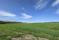 Erstbezug: Modernes Wohnen in stilvoller Doppelhaushälfte mit Garten und 2 Stellplätzen in 2100 Stetten, Niederösterreich!