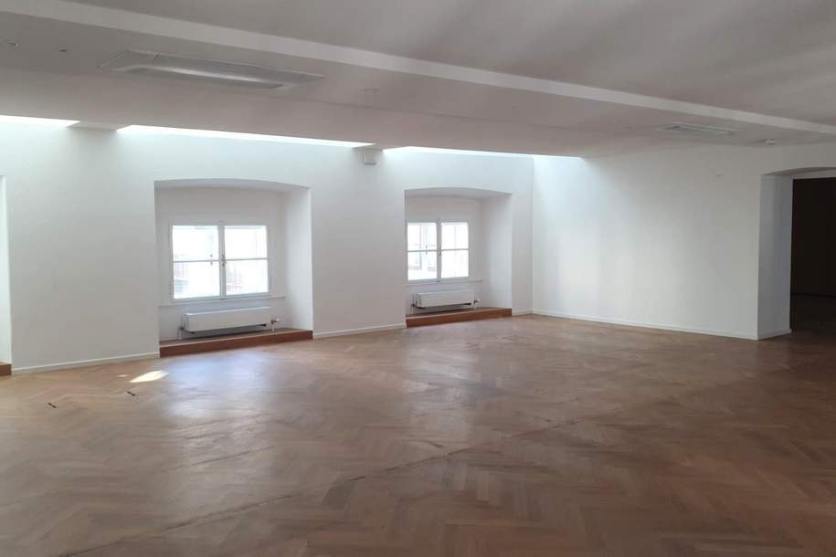 FREYUNG: Bürofläche im wunderschönen Palais Harrach, Gewerbeobjekt-miete, 34.275,26,€, 1010 Wien 1., Innere Stadt