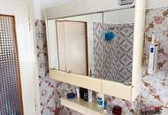 KOFFER PACKEN UND EINZIEHEN - großes Ein- bzw. Zweifamilienhaus mit Garage in St. Pölten (Wagram)
