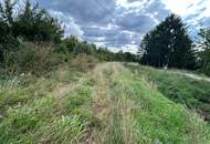 Kleinsitzendorf: Baugrund voller Möglichkeiten – Traumplatz, Traumidee, Traum wird wahr!