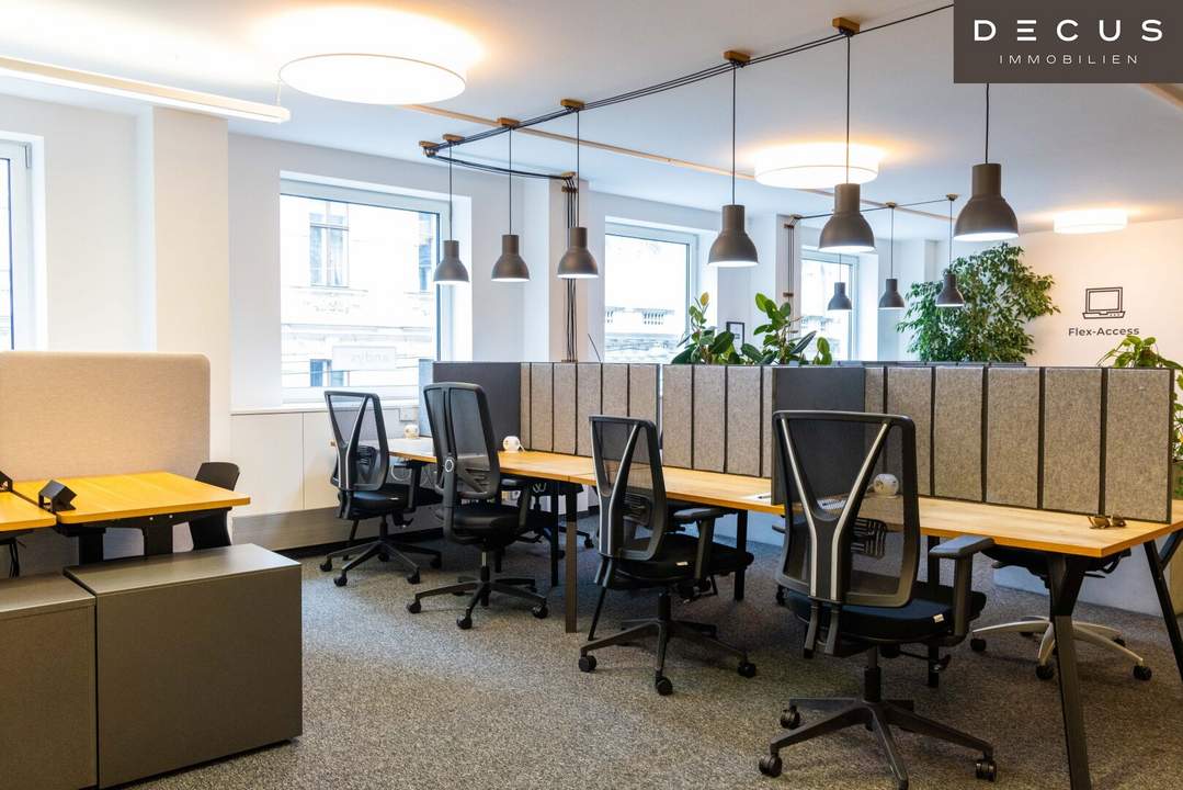 Büroflächen und Co-working im 6. Bezirk