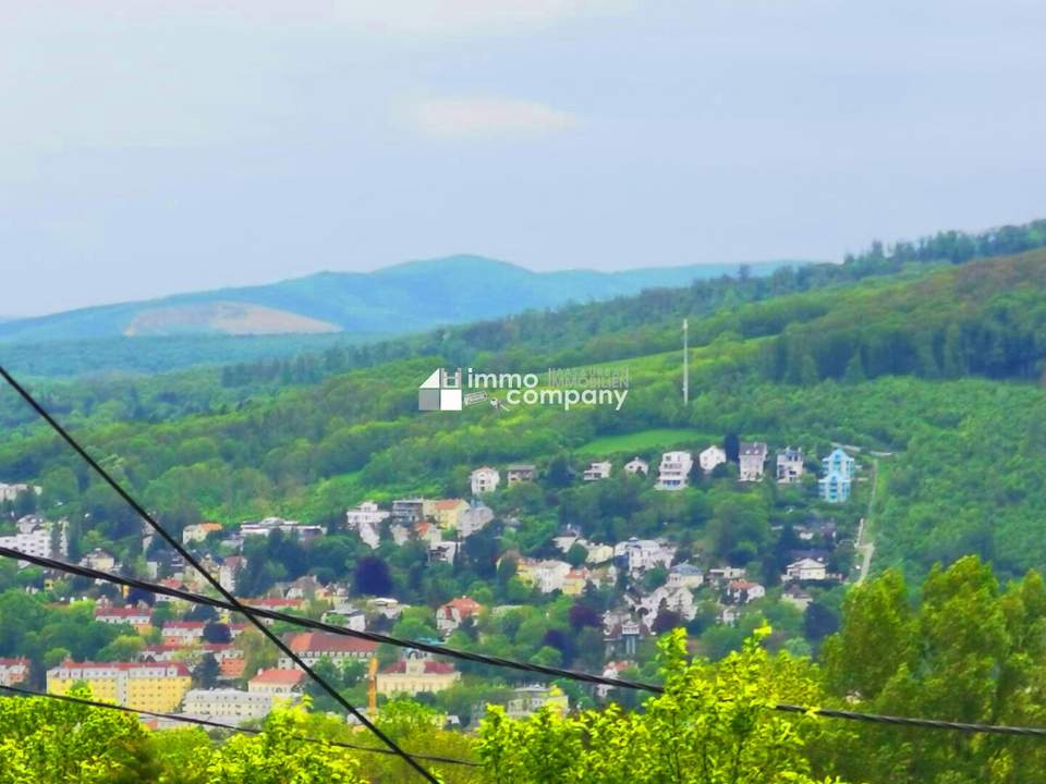 In die Ferne schweifen. -Das Panorama-Grundstück