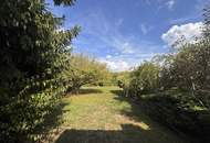 Großes Grundstück für 2 Doppelhäuser oder mehr: Ihre Chance auf ca. 3500 m² ein Projekt zu verwirklichen!