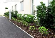 Sommer, Sonne, Dachterrasse!
