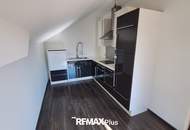 Mehrfamilienhaus mit großzügigem Grundstück und vielseitig nutzbaren Nebengebäuden in Traismauer