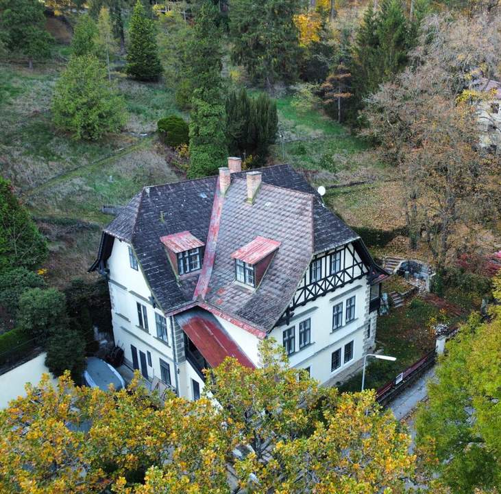 Außergewöhnliche Villa in absolut ruhiger Waldrandlage I Rund um Natur pur nahe Lainzer Tiergarten I Ausbauen+sanieren