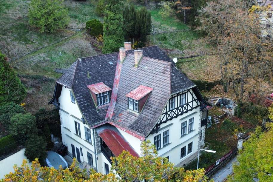 Außergewöhnliche Villa in absolut ruhiger Waldrandlage I Rund um Natur pur nahe Lainzer Tiergarten I Ausbauen+sanieren, Haus-kauf, 998.000,€, 1230 Wien 23., Liesing