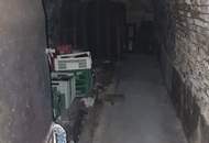 2014 Puch - Bauernhof für Wohnen und Gewerbe - 30 min von Wien !