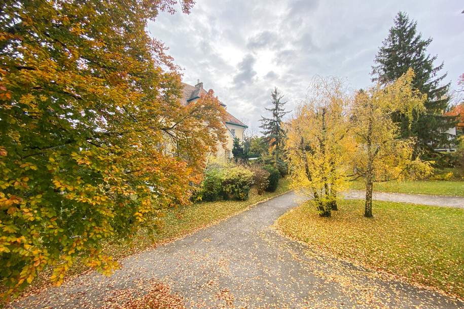 Fantastische 3,5-Zimmer-Balkonwohnung Nähe Dornbacher Pfarrkirche, Wohnung-kauf, 549.000,€, 1170 Wien 17., Hernals