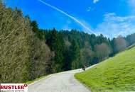 Baugrundstück im Ausmaß von 2.175 m² mit Almcharakter Naturparadies Lavanttal