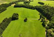 Zum Verkauf steht ein zusammenhängendes Landwirtschafts- und Waldgrundstück mit Holzhaus