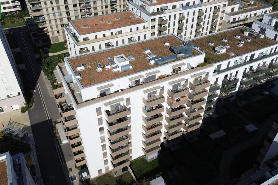 Wir bieten den perfekten Gewerbestandort - im Herzen eines Neubauviertels zwischen Breitenleer Straße und U1 Kagraner Platz, Gewerbeobjekt-miete, 4.312,50,€, 1220 Wien 22., Donaustadt