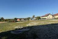 Lager- / Gewerbehalle mit 500 m² Nutzfläche in Hartberg zu vermieten – Erweiterung auf 1000 m² möglich