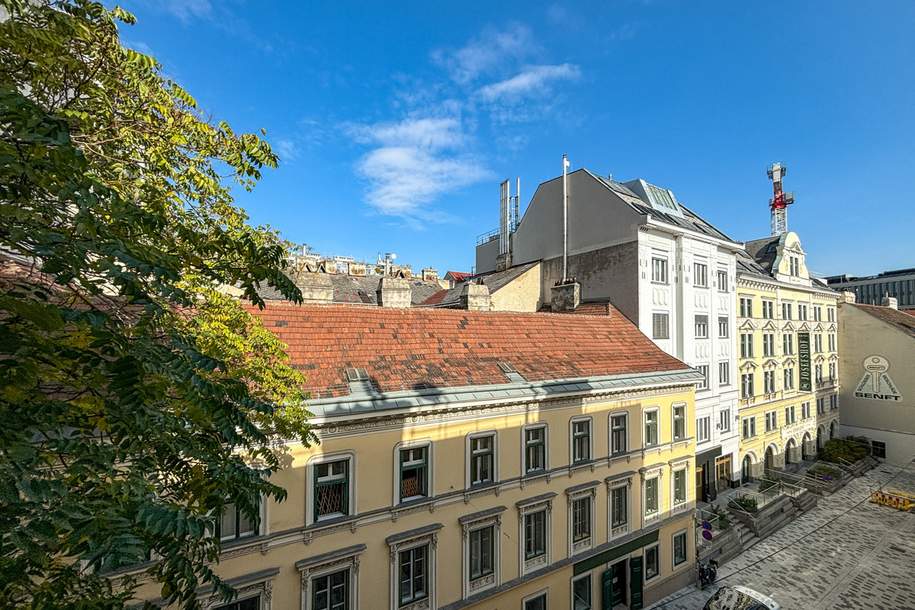 Zentrale Altbauwohnung in Biedermeierhaus nahe Rathaus und Parlament, Wohnung-kauf, 690.000,€, 1080 Wien 8., Josefstadt