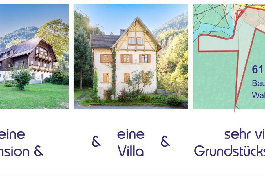 Pension &amp; Gasthof &amp; Villa &amp; Baugrund &amp; Wald &amp; Wiese, Haus-kauf, 890.000,€, 9815 Spittal an der Drau