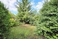 120m² Wohnfläche, 4 Zimmer - Wohnen auf einer Ebene mit Innenhof, Garten, Nebengebäude, Garage