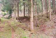 Wald im Gurktal (Provisionsfrei)