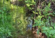 WOHNEN IM NATURPARADIES AM WALDRAND MIT MÖGLICHKEIT AUF ZWEI WOHNEINHEITEN - BESTE FERIEN- ODER ZWEITWOHNSITZEIGNUNG MIT KLEINEM BACH, OBSTBÄUMEN &amp; WALD - NICHT VOM HOCHWASSER BETROFFEN