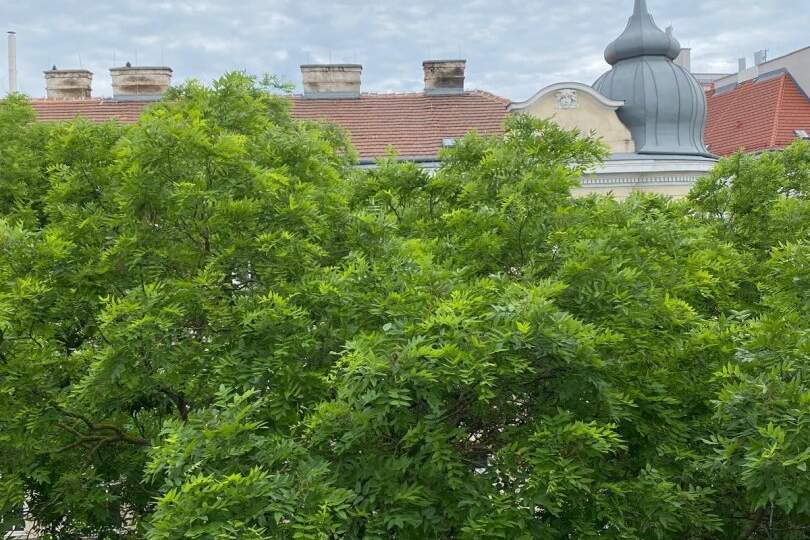 WUNDERBARES HAUS, BESTE LAGE! Letzter Altbaustock mit Lift! Wohnung mit Sanierungsbedarf!, Wohnung-kauf, 223.000,€, 1140 Wien 14., Penzing