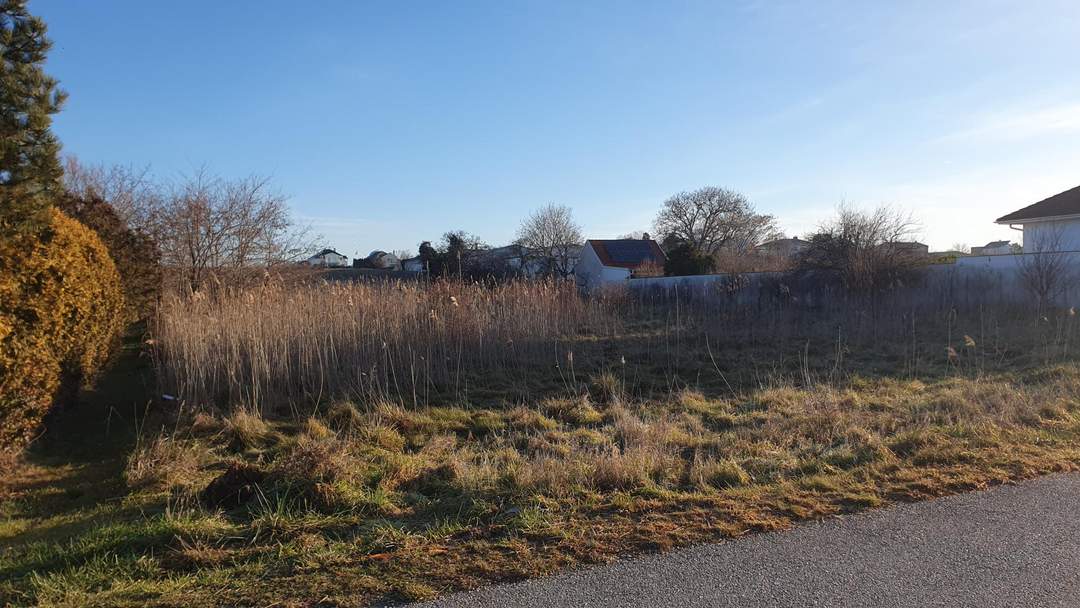 Sonniges Grundstück in Traumlage in Gols