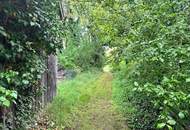 Grundstück mit Altbestand