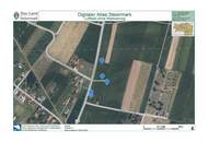 Ackerfläche Nähe Bad Radkersburg mit Altbestand