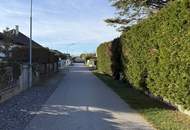 toller Garten, nettes Haus