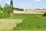 Ihr Traum vom Eigenheim: Sonniger Baugrund Nähe Wien in 2124 Oberkreuzstetten/Weinviertel