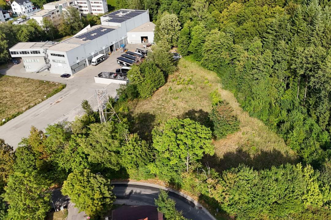 Betriebsbaugrund im Ortszentrum Pressbaum/Tullnerbach