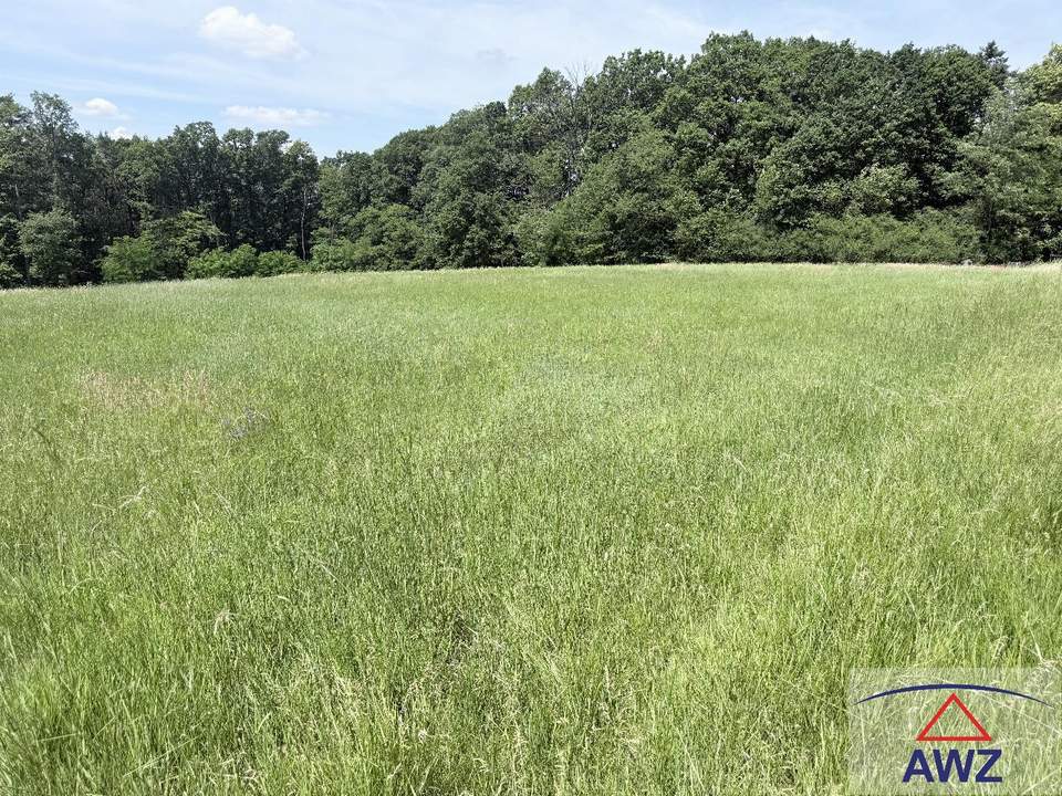 Landwirtschaftliche Flächen in der Nähe von Neuberg im Burgenland!