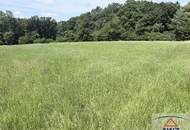 Landwirtschaftliche Flächen in der Nähe von Neuberg im Burgenland!