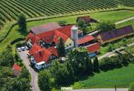 Bäuerliches Anwesen mit Kellerstöckl, Werkstatt, Wirtschaftsgebäuden und sieben Wohneinheiten in St. Nikolai im Sausal