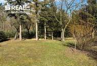 Einfamilienhaus mit großem Grundstück inkl. Garage in absoluter Ruhelage