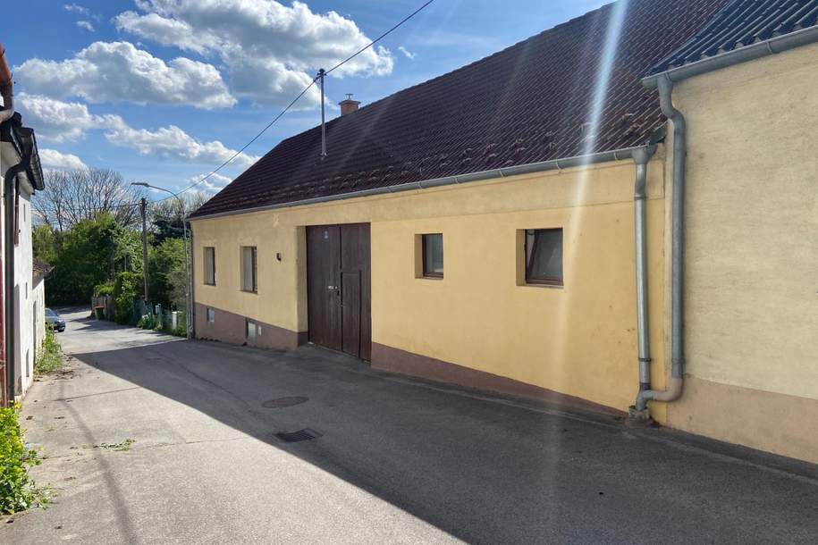 Traditionelles Bauernhaus, Haus-kauf, 130.000,€, 2245 Gänserndorf