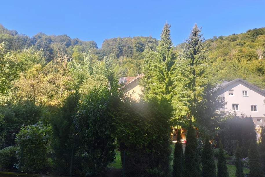 Sehr schöne Mietwohnung mit Blick ins Grüne, Wohnung-miete, 830,00,€, 3180 Lilienfeld