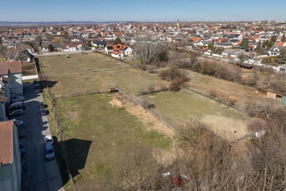 Exklusives Baugrundstück in Gols – Ideales Projektpotenzial für Investoren und Bauträger- zu verkaufen!, Grund und Boden-kauf, 3.300.000,€, 7122 Neusiedl am See